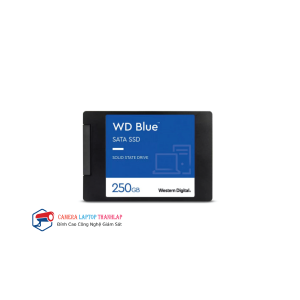Ổ cứng SSD SATA WD Blue 500GB